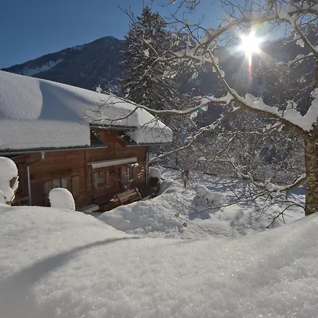 Haus Hasslacher Guest house