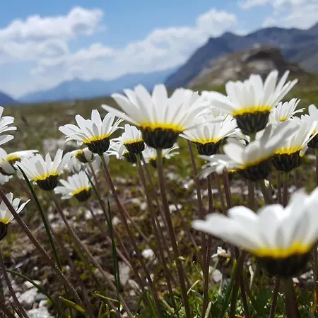 Haus Hasslacher Guest house Flattach