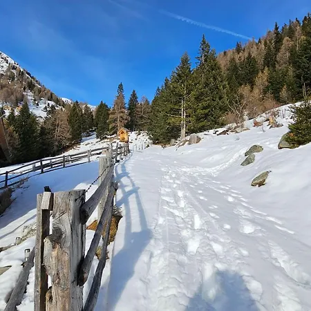 Guest house Haus Hasslacher 4*