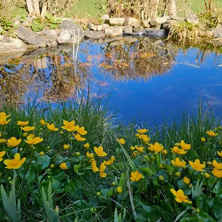 Haus Hasslacher Guest house